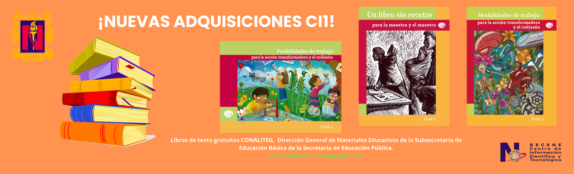 Nuevas adquisiciones Diciembre 2025.